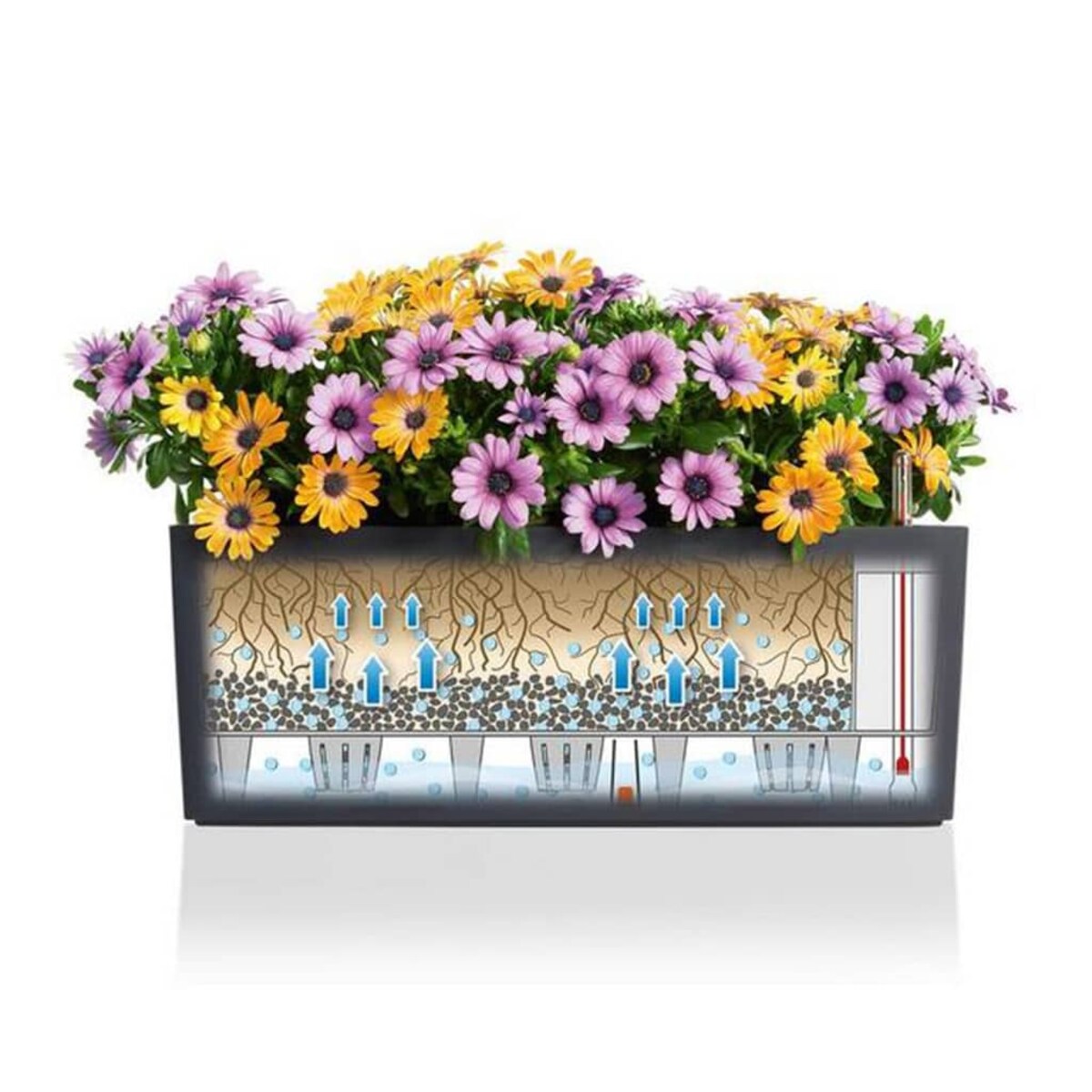 LECHUZA Doniczka BALCONERA Cottage 50 ALL-IN-ONE, biała