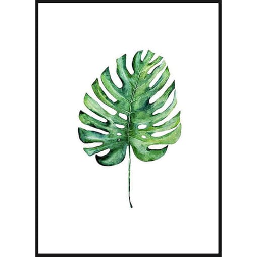 Poster Story, Plakat, Obraz - Liść Monstery, wymiary 70 x 100 cm