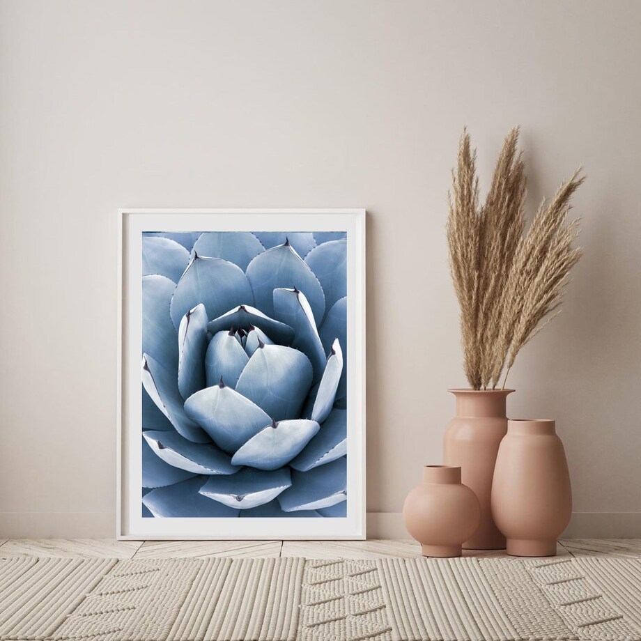 Poster Story, Plakat, Obraz - Niebieska Agawa, wymiary 42 x 60 cm