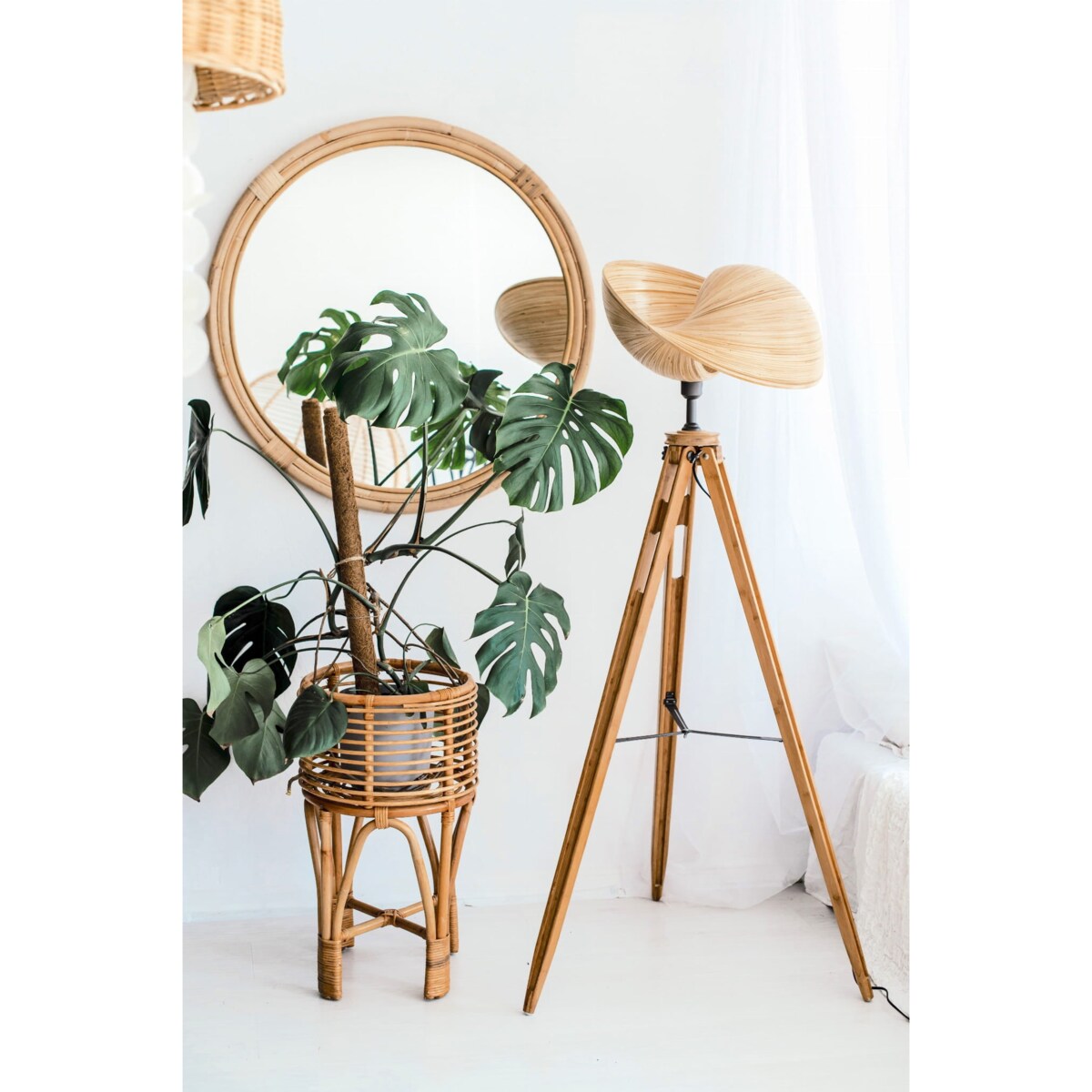 KWIETNIK POLLIE S NATURALNY