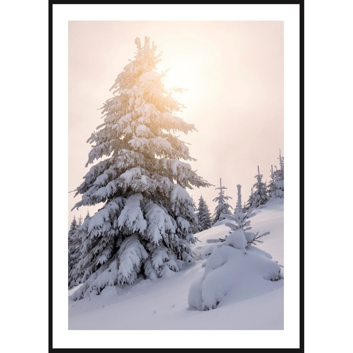 Poster Story, Plakat, Obraz - Ośnieżone Choinki, wymiary 42 x 60 cm