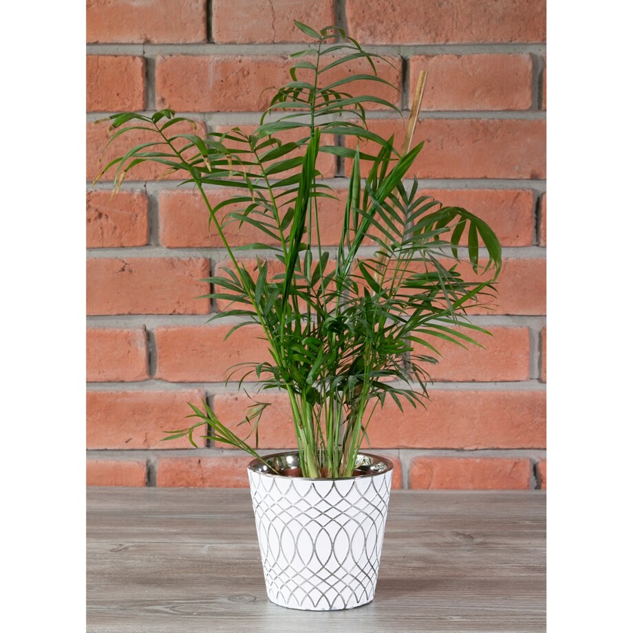DONICA IGLOO ceramiczna biało-srebrna śr. 13cm