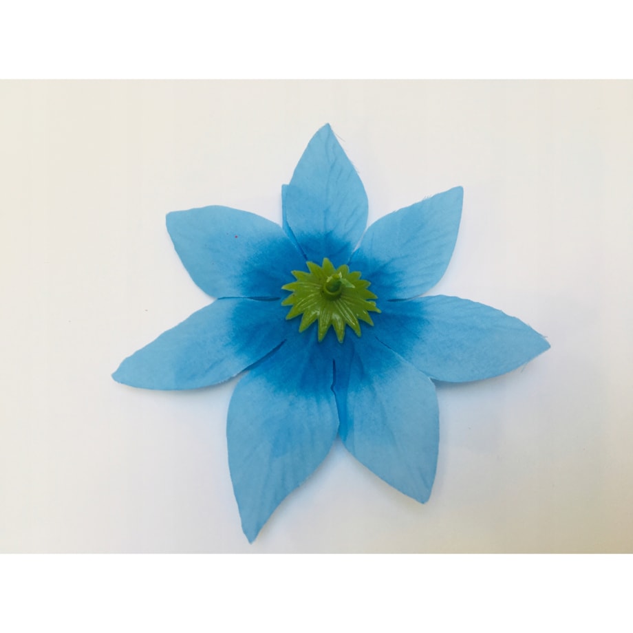 GWIAZDA betlejemska poinsecja niebieska na doniczka choinka święta 12 szt