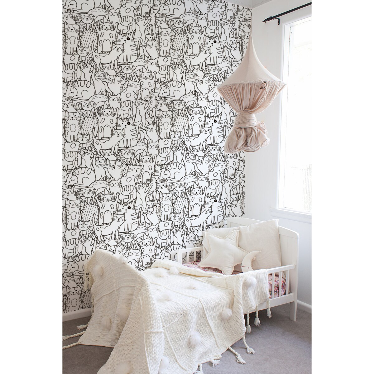 Tapeta Koci świat, 416x254cm