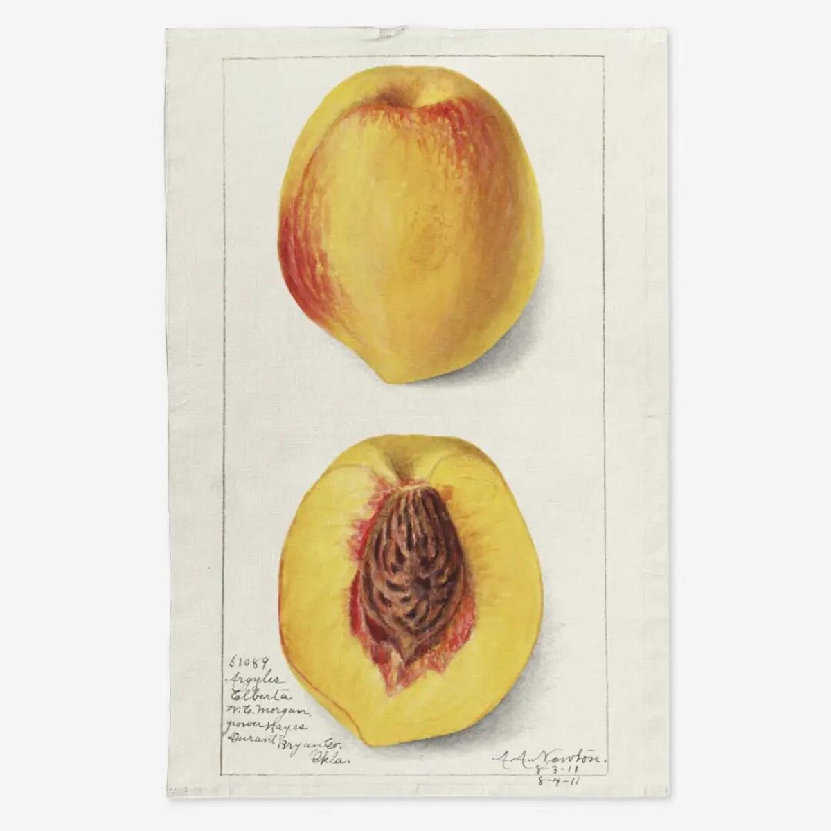 Lniany ręcznik kuchenny - żółta nektarynka