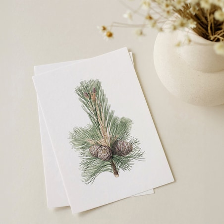 Plakat Gałązka sosny z szyszkami 21x30cm