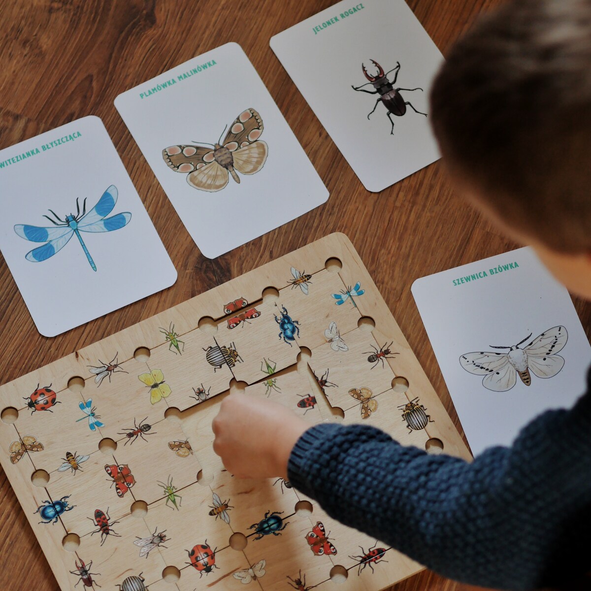 Puzzle drewniane Owady - gra logiczna Montessori