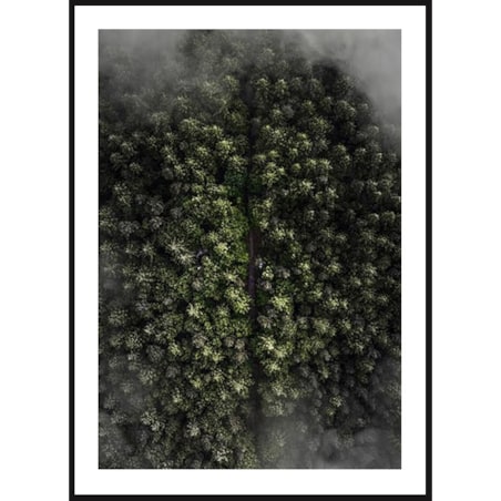 Poster Story, Plakat, Obraz - Ciemny Las, wymiary 50 x 70 cm