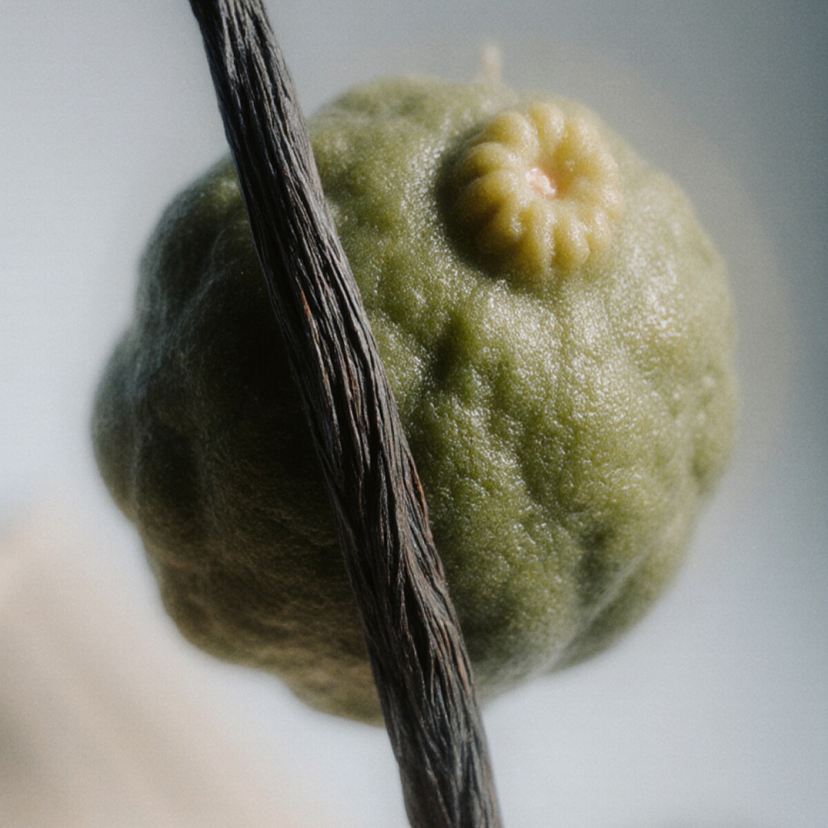 Esenzia L'Oree du Bois 10ml - zapach do mini dyfuzora