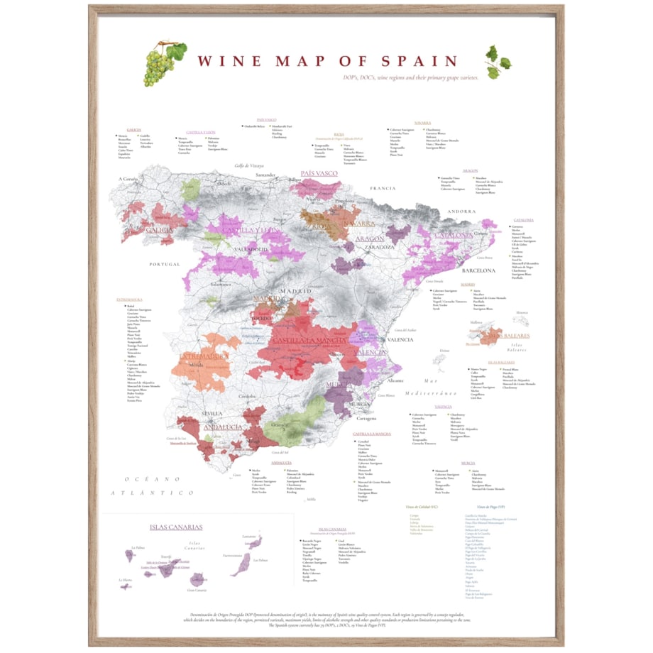 plakat HISZPANIA regiony winiarskie 40x50cm
