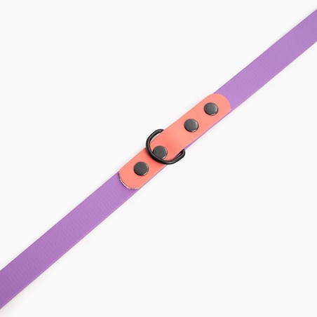 Smycz przepinana Biothane® dla psa lub kota "Lilac with Coral" - Rozmiar: M, Szerokość taśmy: 19mm