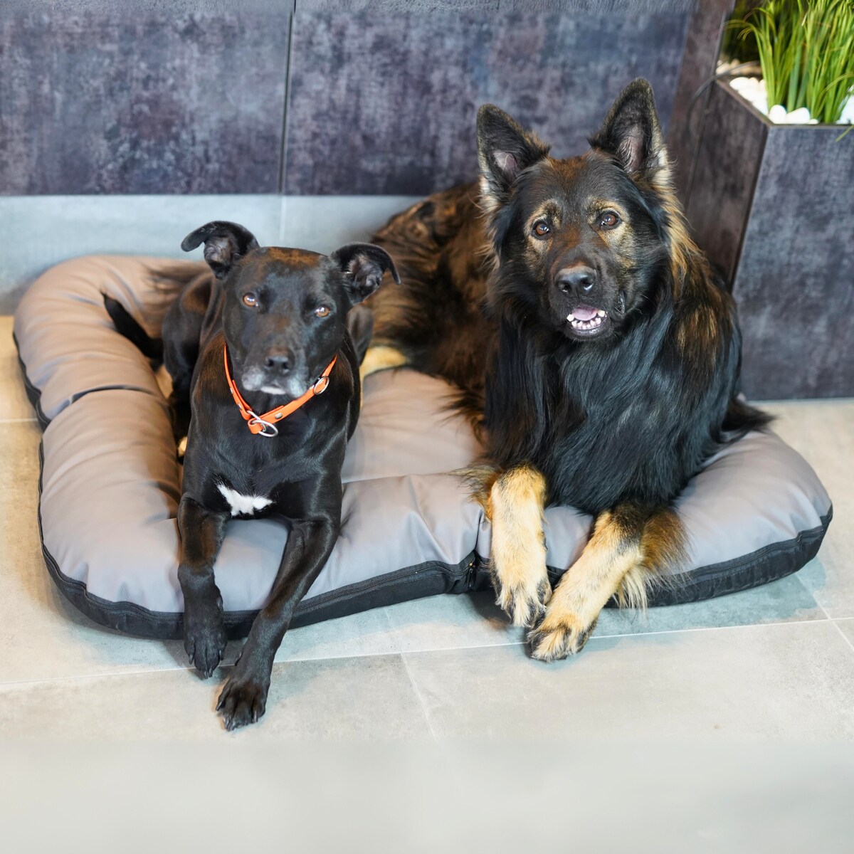 Legowisko Ponton dla psa z eko skóry ELLA, 130x110 cm, Szary