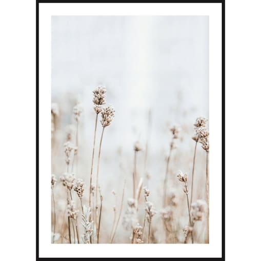 Poster Story, Plakat, Obraz - Delikatne Polne Kwiatki, wymiary 50 x 70 cm