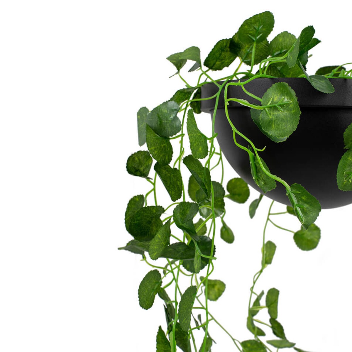 Ścienna lampa Plant Wall MSE010400222 Moosee LED 16W 3000K kwietnik czarny