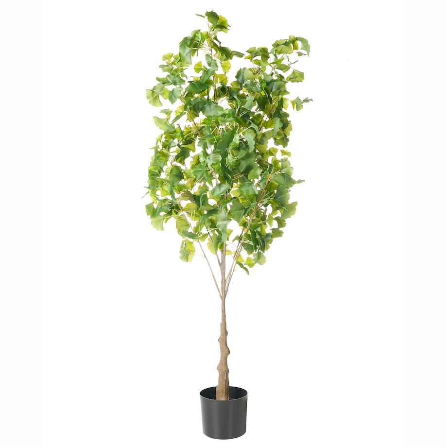 Sztuczna roślina GINKGO TREE 150 cm Zielony