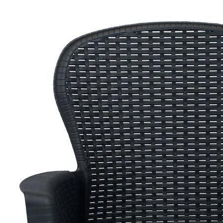 vidaXL Krzesła ogrodowe z poduszkami, 2 szt., antracytowe, plastikowe