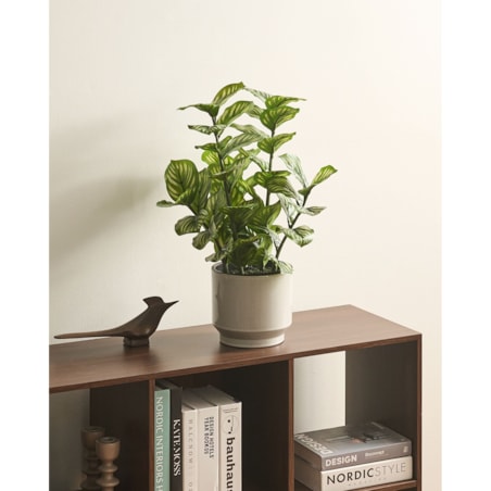 Sztuczna roślina ORBIFOLIA 50 cm Zielony