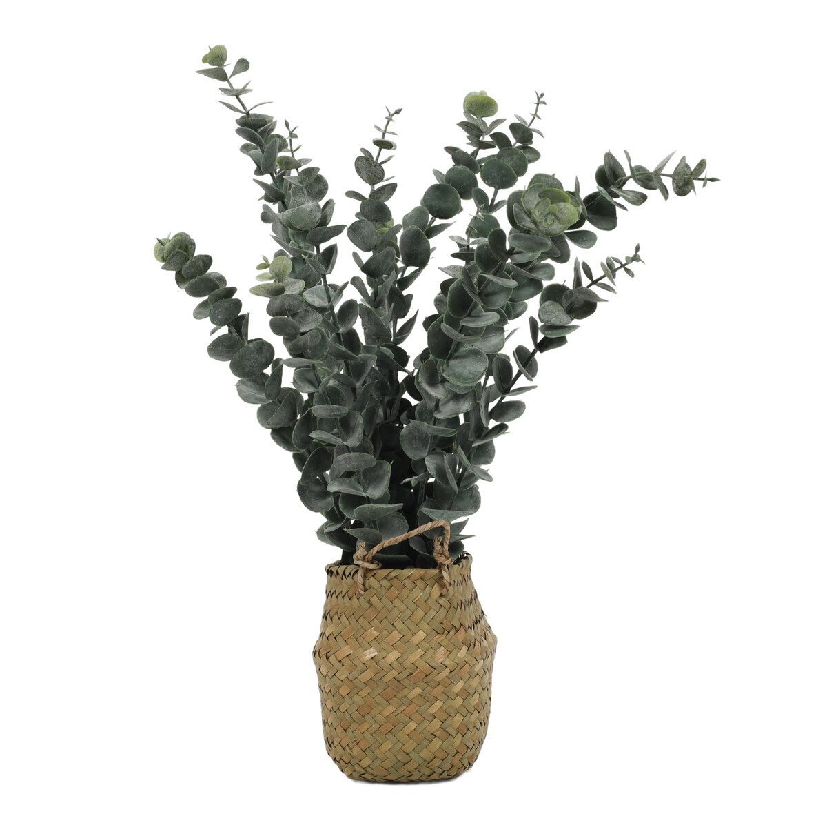 Sztuczna roślina eukaliptus w koszyku, 50 cm