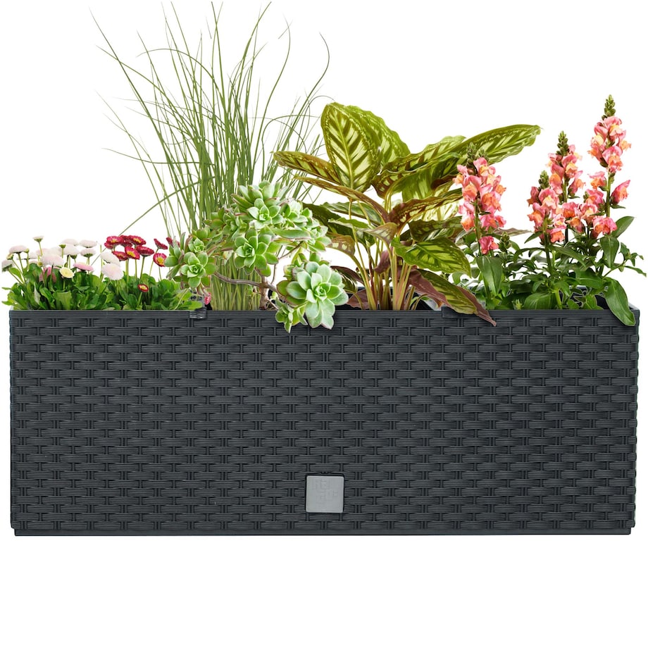 Donica Na Cmentarz Doniczka Korytko Ratanowe Na Wszystkich Świętych Rato Case 17L