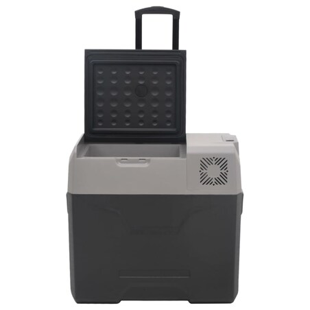 vidaXL Lodówka na kółkach, z uchwytem, czarno-szara, 40 L, PP