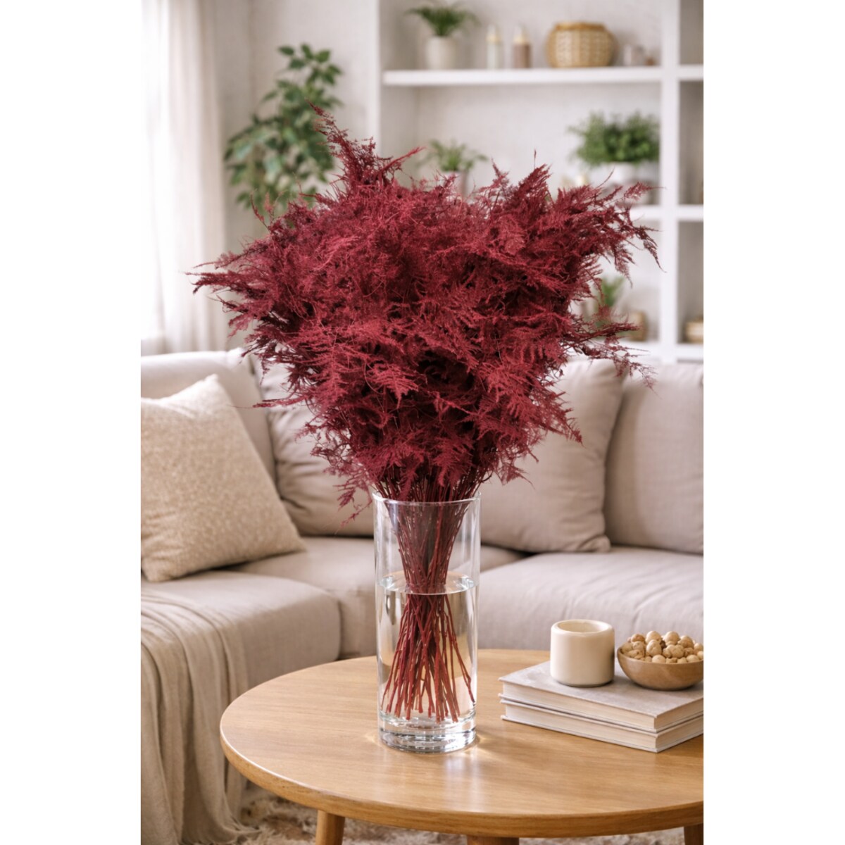 Asparagus Bordeaux – bukiet 50 szt., wysokość ok. 80 cm, 550–600 g