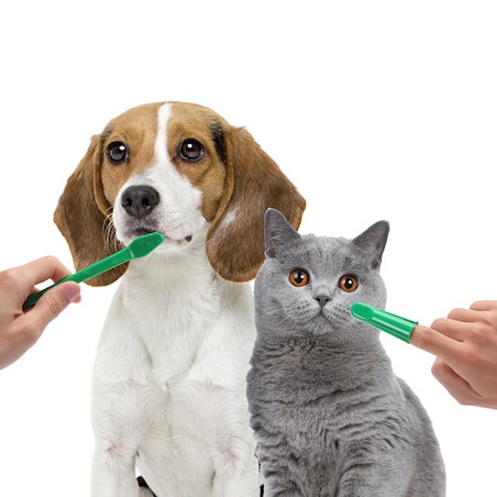 Szczotka Pasta Do Mycia Czyszczenia Zębów Dla Psa Zwierząt + 2 Nakładki