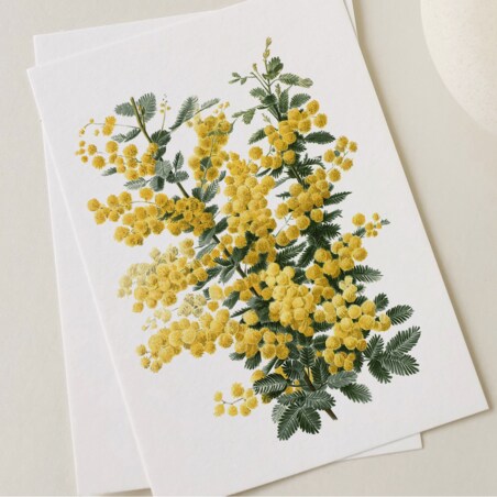 Plakat Mimoza 21x30cm