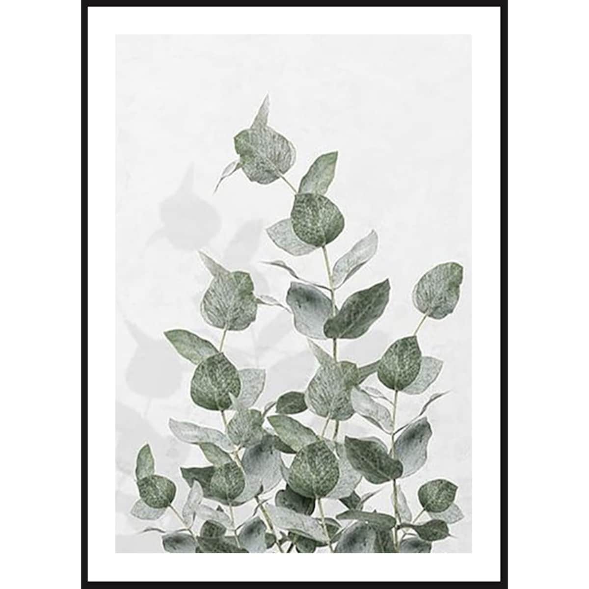 Poster Story, Plakat, Obraz - Listki Eukaliptusa No3, wymiary 70 x 100 cm