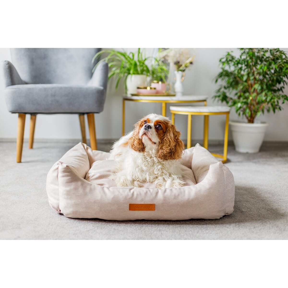 Animood Legowisko Alex rozmiar: M, kolor: beżowy, materiał: jeans imitacja