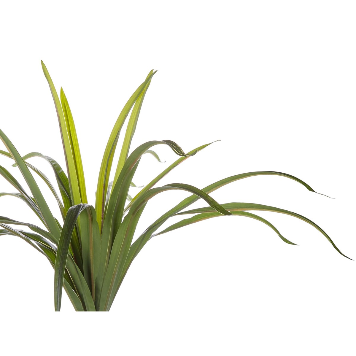 Sztuczna roślina DRACAENA ANITA 147 cm Zielony
