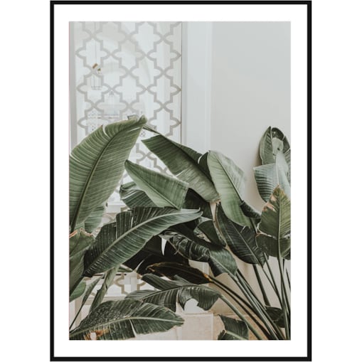 Poster Story, Plakat, Obraz - Liście Bananowca Musa No1, wymiary 60 x 84 cm