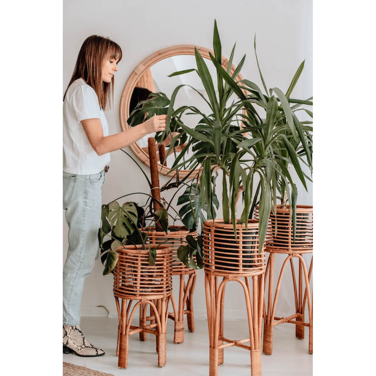 KWIETNIK POLLIE L KARMEL