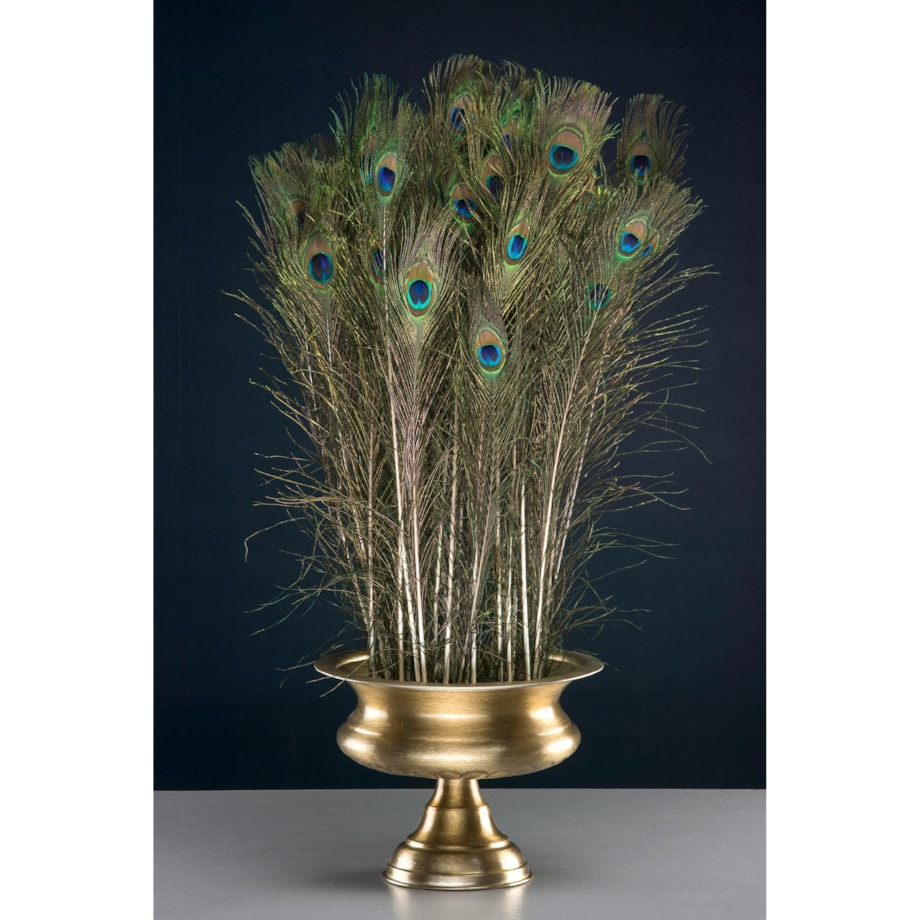 PIÓRO PAWIA DEKORACYJNE naturalne 3 SZT.