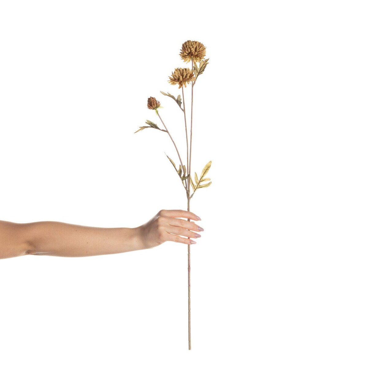 Kwiat Dalii 70cm, 8 x 8 x 70 cm