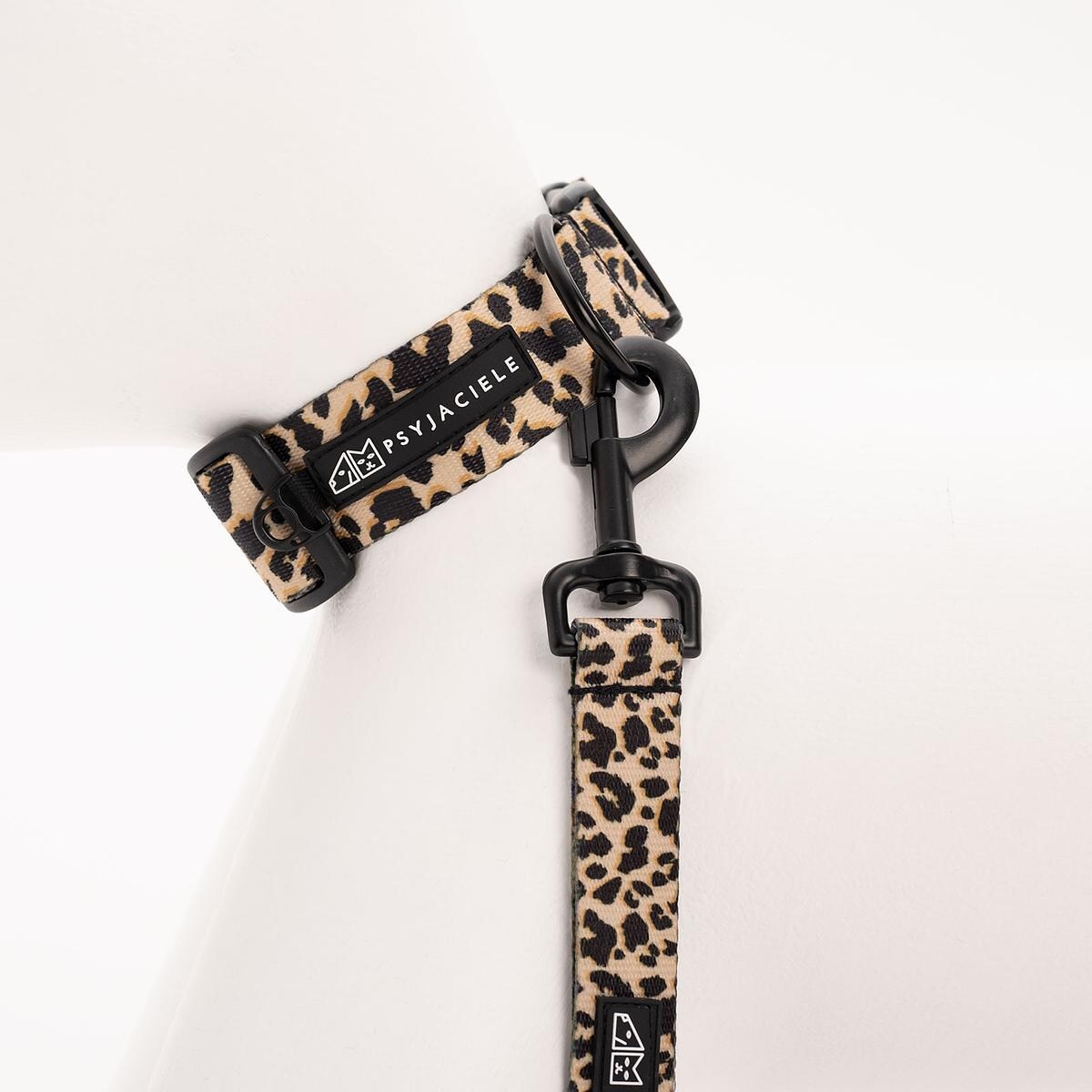 Obroża dla psa lub kota "Pan tera mi kupi" PANTERKĄ DO GÓRY - Szerokość taśmy: 38mm, Rozmiar: XS