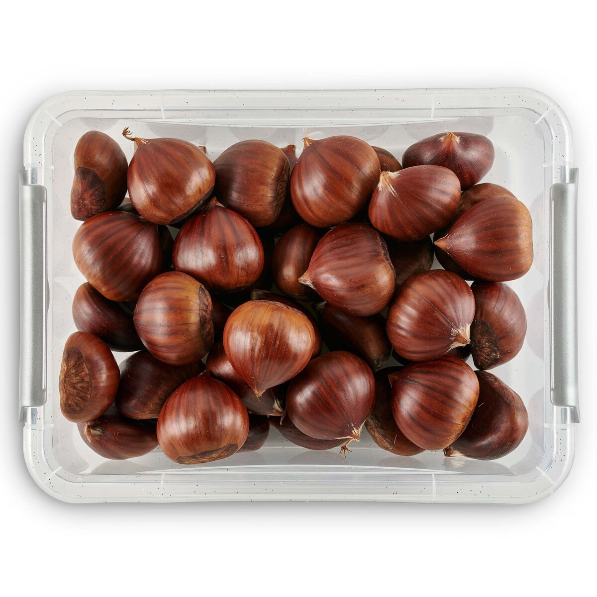 Pojemnik Plastikowy Pudełko Z Pokrywą Na Żywność Antybakteryjne 2X 0,65L