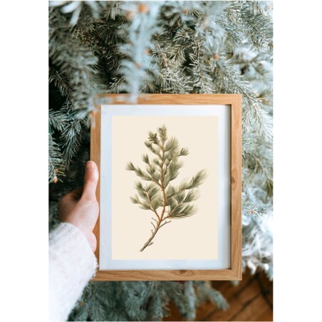 Poster Story, Plakat, Obraz - Gałązka Sosny na Beżowym Tle, wymiary 50 x 70 cm