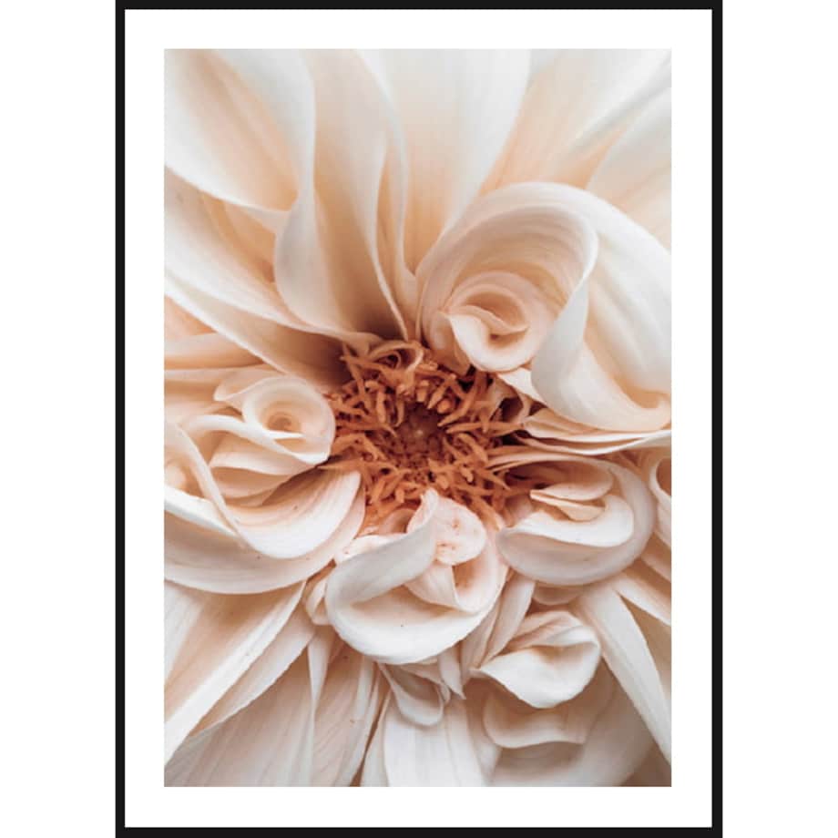 Poster Story, Plakat, Obraz - Dalia No2, wymiary 60 x 84 cm