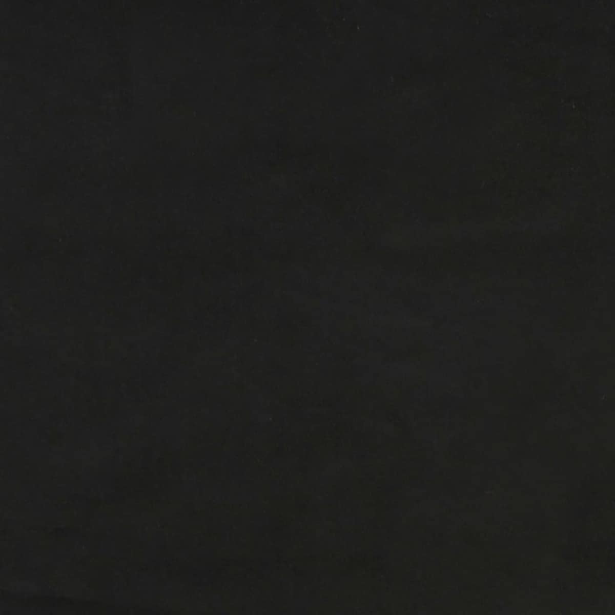 vidaXL 2-osobowa kanapa, 2 poduszki, czarna, aksamitna