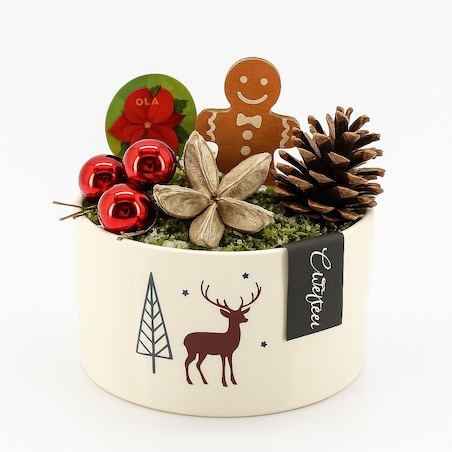 Kompozycja AMARYLLIS | ceramiczna biała doniczka Ø23cm | Wysokość 25 cm