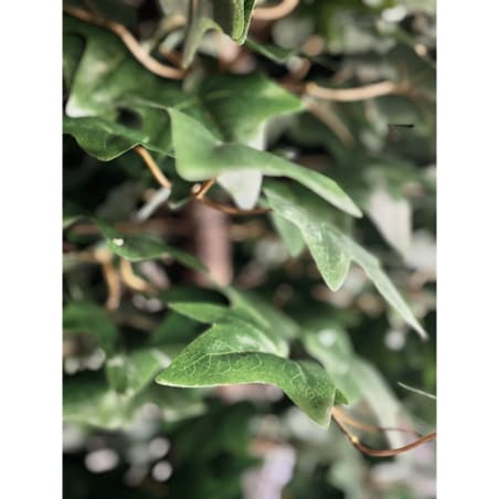 Drzewo klon z zielonymi liśćmi na naturalnym pniu 240 cm