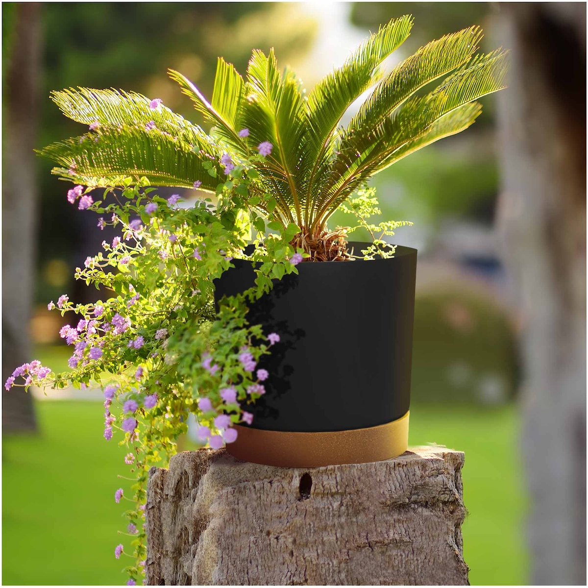 Doniczka Ogrodowa 23,9Cm Z Podstawką Do Domu Donica Plastikowa Antracyt