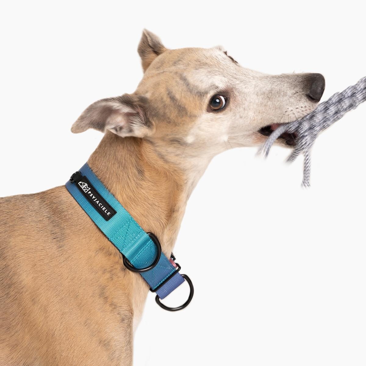 Szarpak "Turquoise AF"