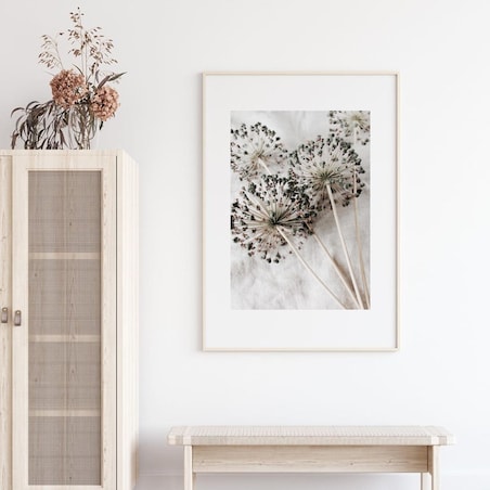 Poster Story, Plakat, Obraz - Suszone Dmuchawce, wymiary 30 x 42 cm