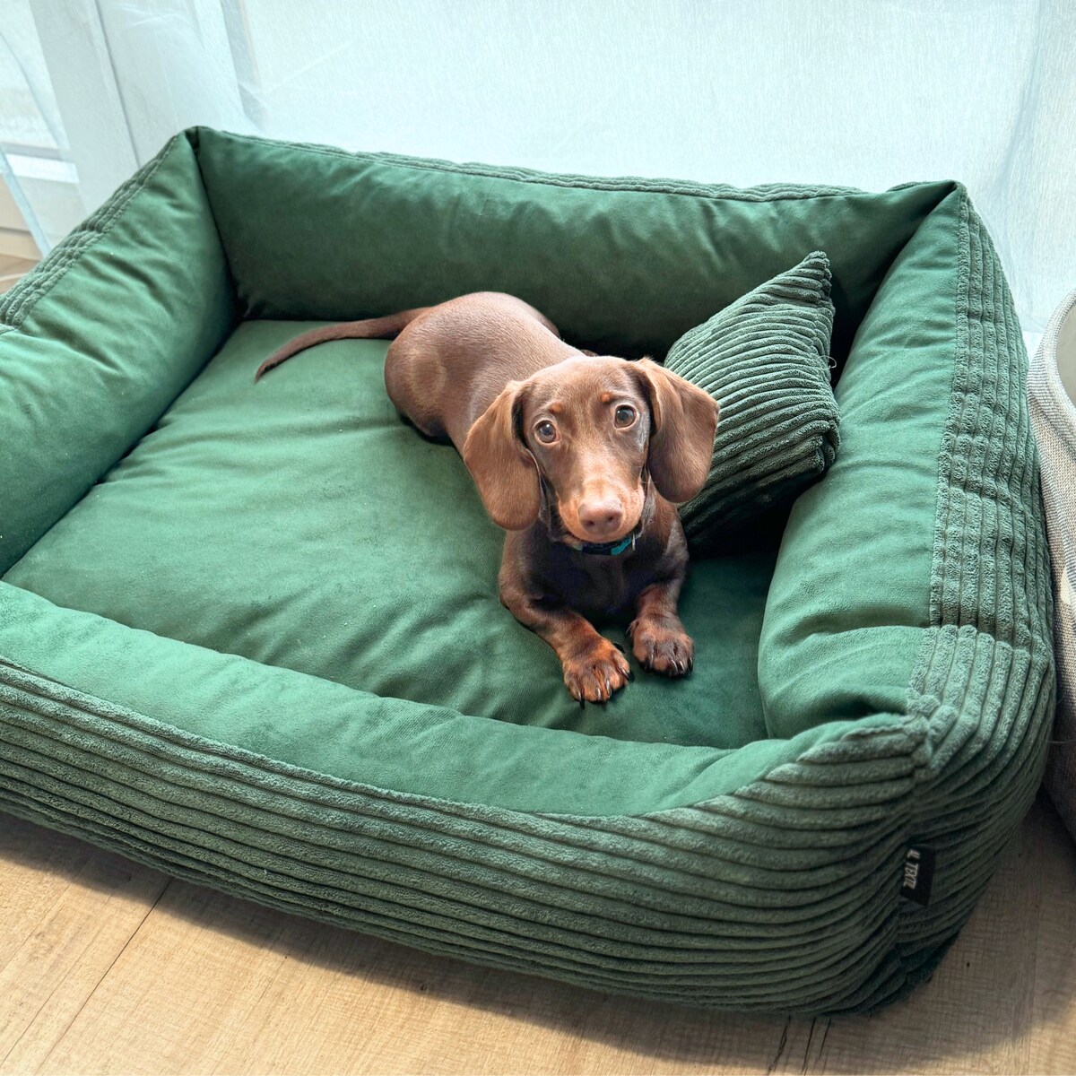 Sztruksowe legowisko dla psa MOLLY, 100x80 cm, Zieleń