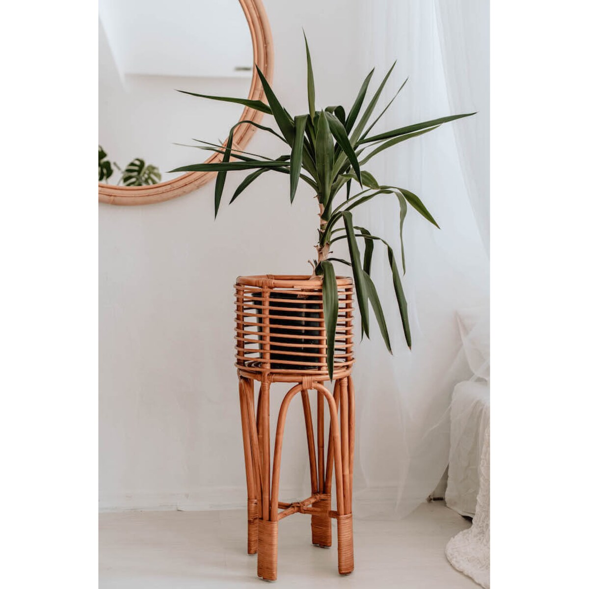 KWIETNIK POLLIE L KARMEL