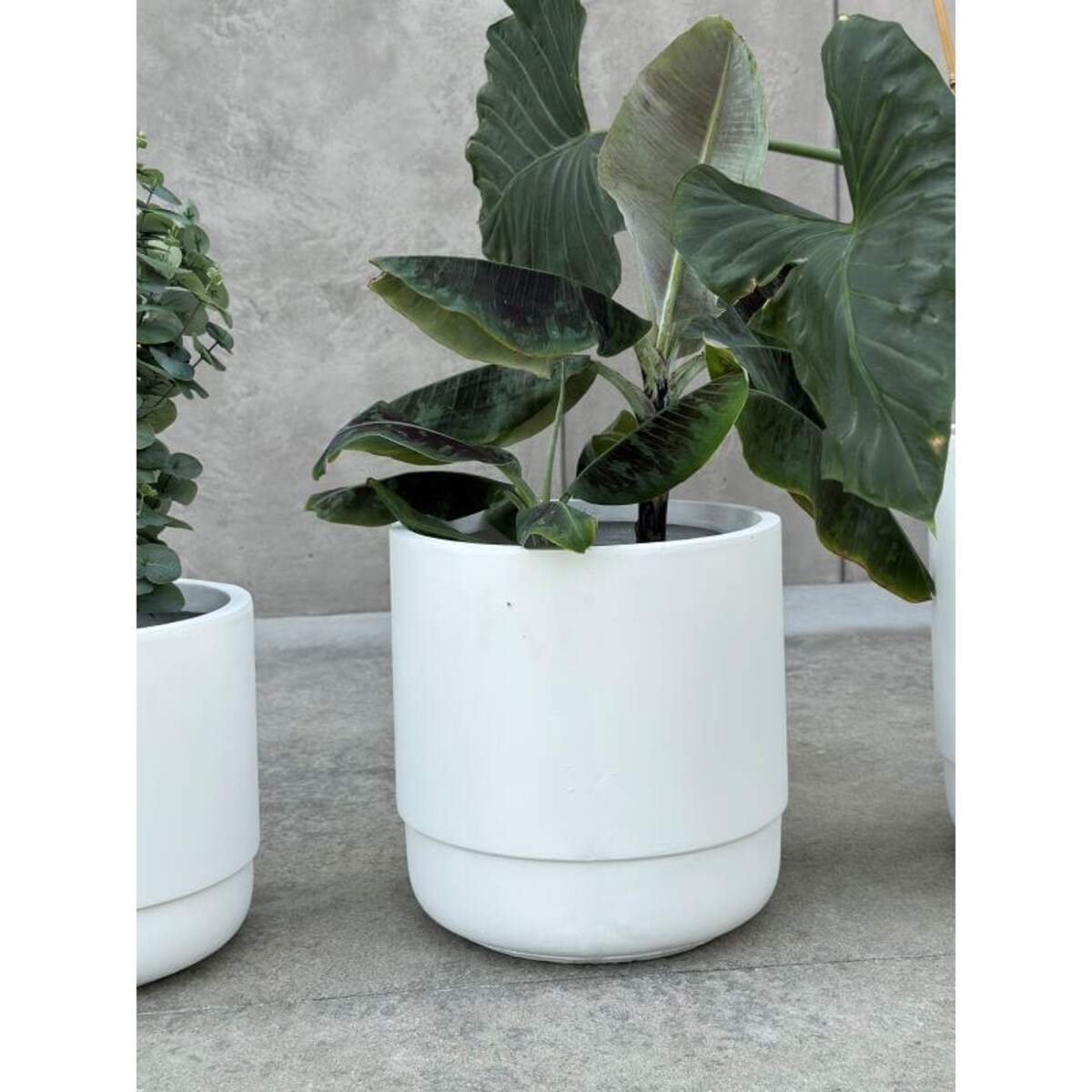 DONICZKA SANTIAGO WHITE M