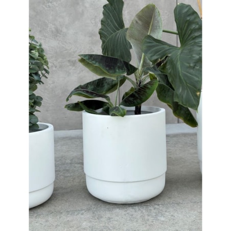 DONICZKA SANTIAGO WHITE M