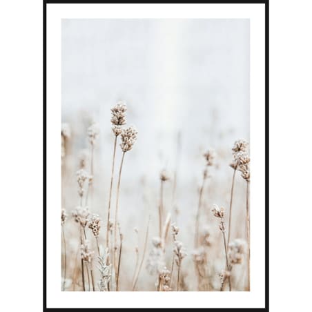 Poster Story, Plakat, Obraz - Delikatne Polne Kwiatki, wymiary 70 x 100 cm