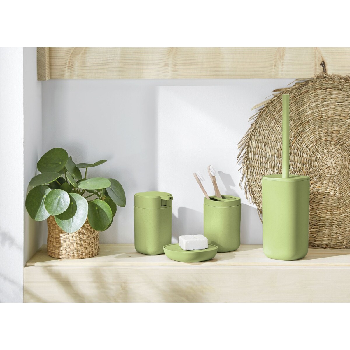 Kleine Wolke Belgrano Ekologiczny Mydelniczka Palme Zielony